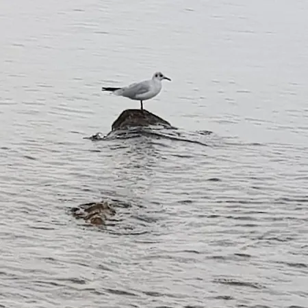 Celine & Fabienne * Brodarica (Sibenik-Knin)