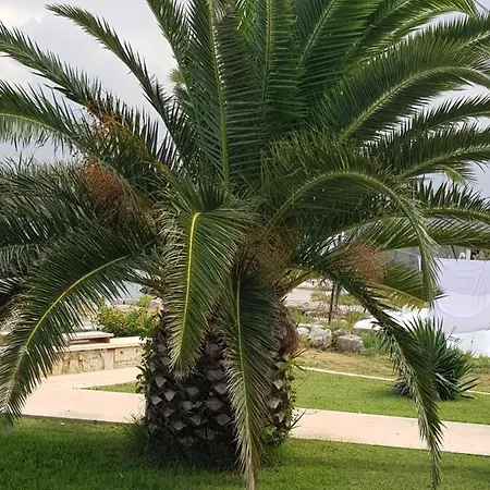 Celine & Fabienne * Brodarica (Sibenik-Knin)