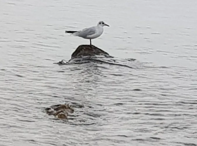 Celine & Fabienne * Brodarica (Sibenik-Knin)