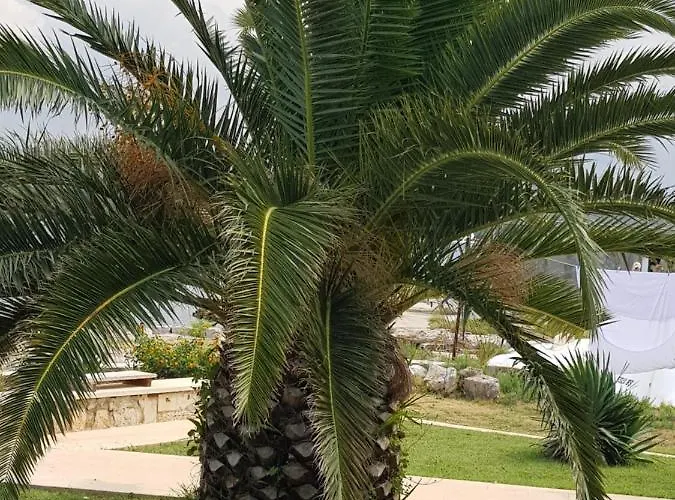 Celine & Fabienne * Brodarica (Sibenik-Knin)